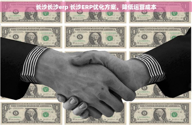 长沙长沙erp 长沙ERP优化方案，降低运营成本
