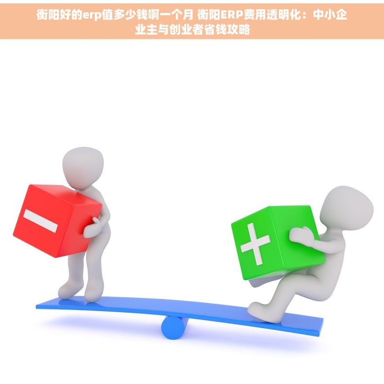 衡阳好的erp值多少钱啊一个月 衡阳ERP费用透明化：中小企业主与创业者省钱攻略