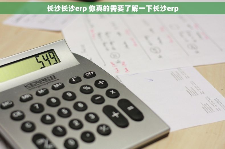 长沙长沙erp 你真的需要了解一下长沙erp