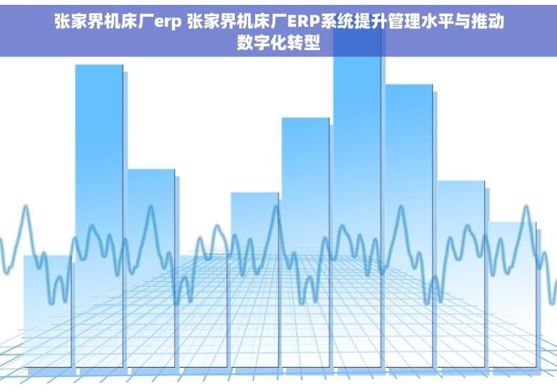 张家界机床厂erp 张家界机床厂ERP系统提升管理水平与推动数字化转型