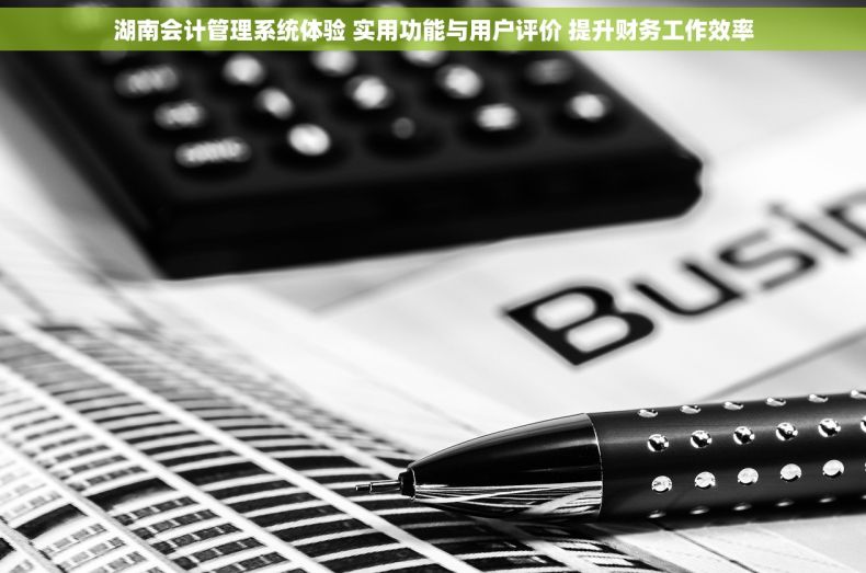 湖南会计管理系统体验 实用功能与用户评价 提升财务工作效率