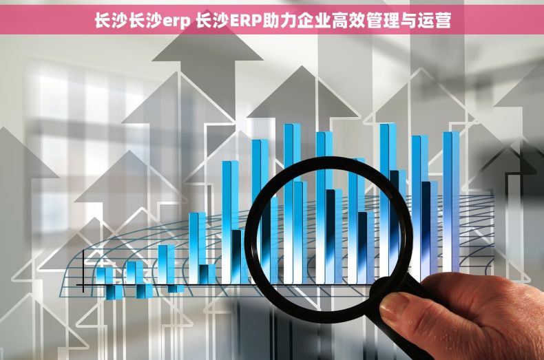 长沙长沙erp 长沙ERP助力企业高效管理与运营