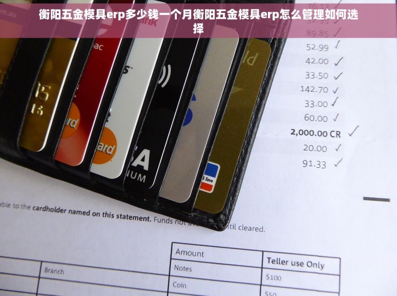 衡阳五金模具erp多少钱一个月衡阳五金模具erp怎么管理如何选择