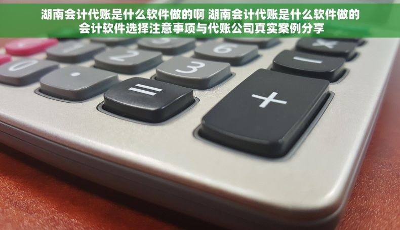 湖南会计代账是什么软件做的啊 湖南会计代账是什么软件做的 会计软件选择注意事项与代账公司真实案例分享