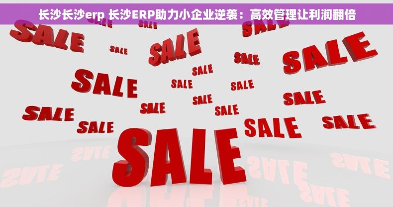 长沙长沙erp 长沙ERP助力小企业逆袭：高效管理让利润翻倍