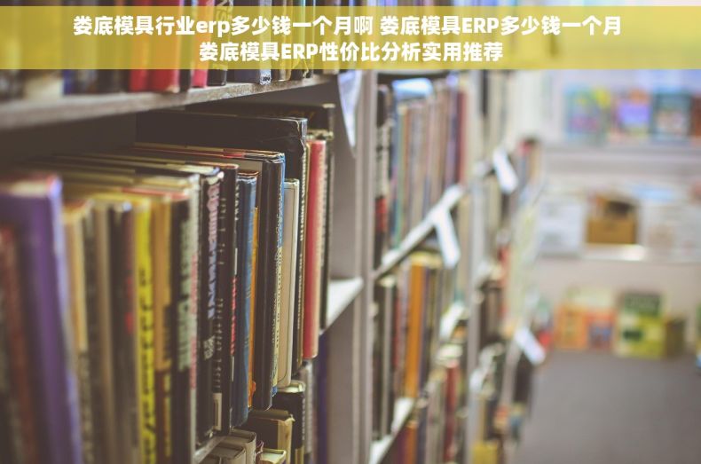 娄底模具行业erp多少钱一个月啊 娄底模具ERP多少钱一个月 娄底模具ERP性价比分析实用推荐