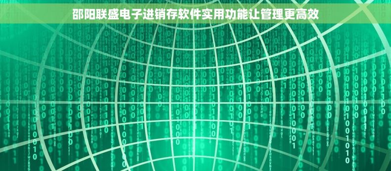 邵阳联盛电子进销存软件实用功能让管理更高效