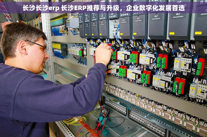 长沙长沙erp 长沙ERP推荐与升级，企业数字化发展首选