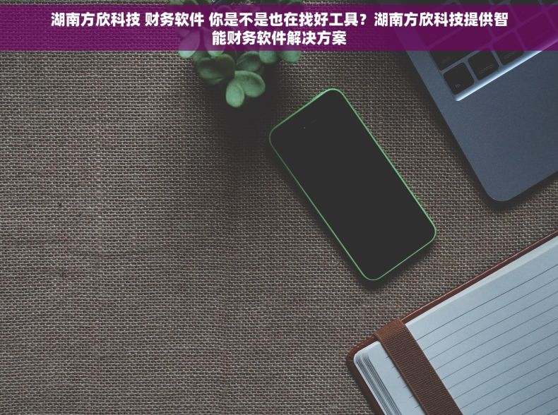 湖南方欣科技 财务软件 你是不是也在找好工具？湖南方欣科技提供智能财务软件解决方案