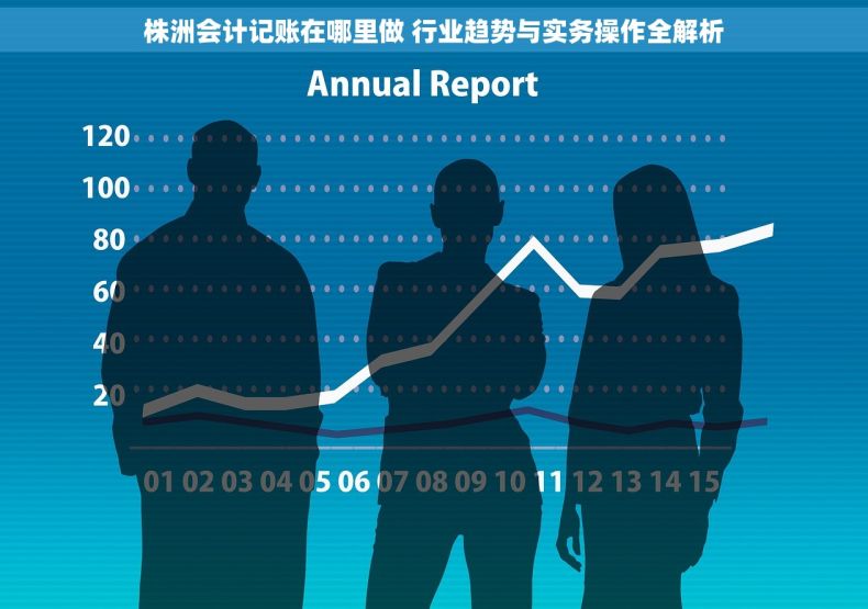 株洲会计记账在哪里做 行业趋势与实务操作全解析
