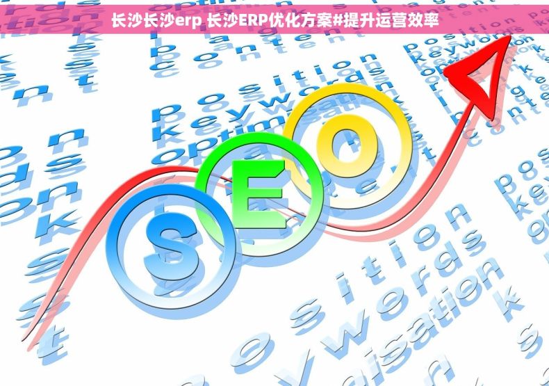 长沙长沙erp 长沙ERP优化方案#提升运营效率