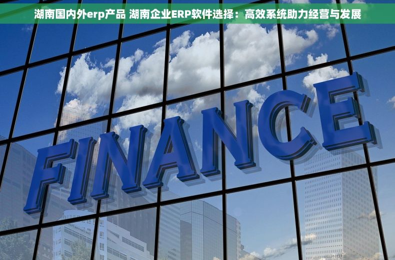 湖南国内外erp产品 湖南企业ERP软件选择：高效系统助力经营与发展