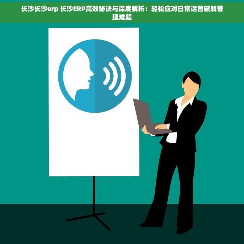 长沙长沙erp 长沙ERP高效秘诀与深度解析：轻松应对日常运营破解管理难题