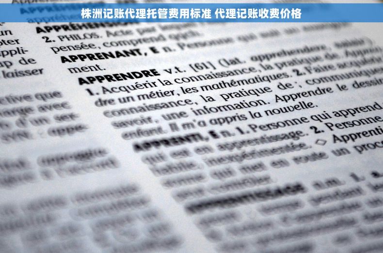 株洲记账代理托管费用标准 代理记账收费价格