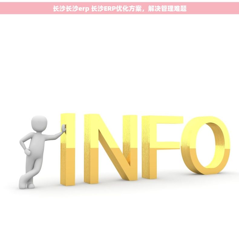 长沙长沙erp 长沙ERP优化方案，解决管理难题
