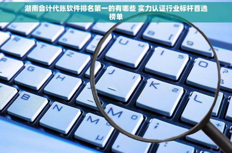 湖南会计代账软件排名第一的有哪些 实力认证行业标杆首选榜单