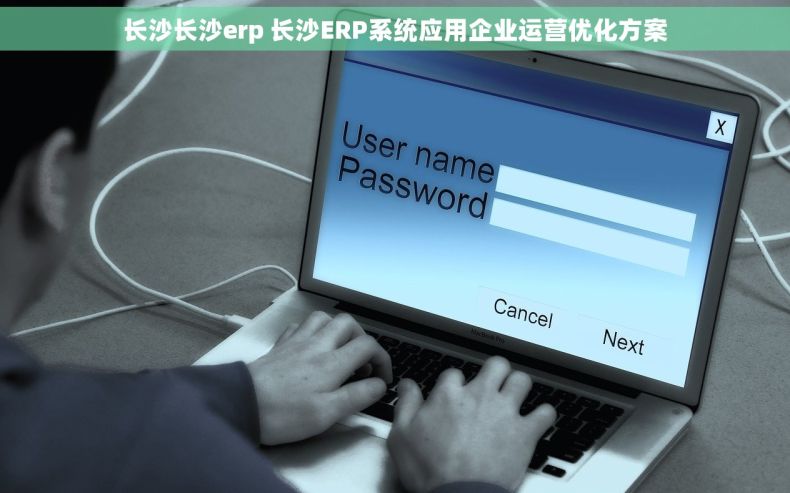 长沙长沙erp 长沙ERP系统应用企业运营优化方案