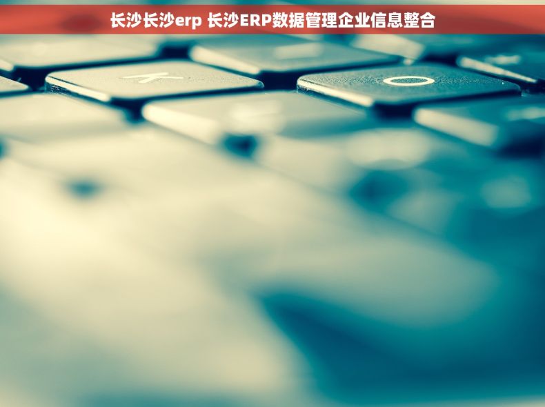 长沙长沙erp 长沙ERP数据管理企业信息整合