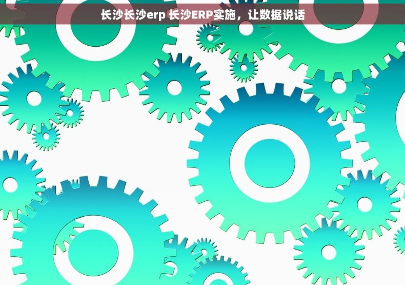 长沙长沙erp 长沙ERP实施，让数据说话
