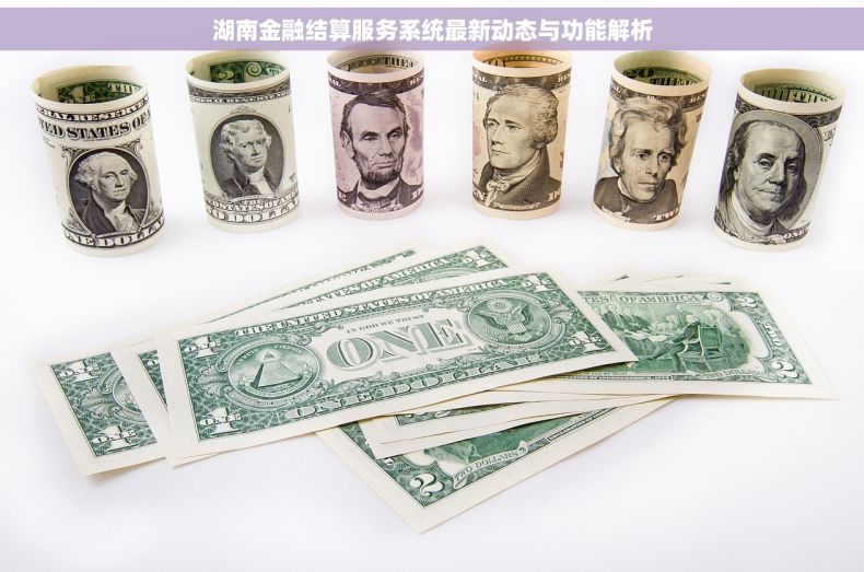 湖南金融结算服务系统最新动态与功能解析
