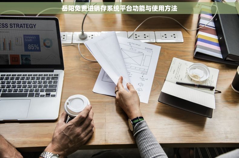 岳阳免费进销存系统平台功能与使用方法