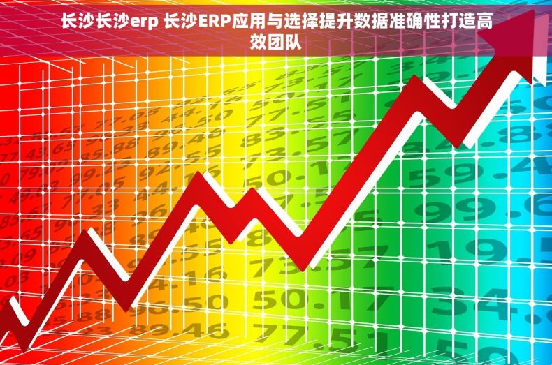长沙长沙erp 长沙ERP应用与选择提升数据准确性打造高效团队