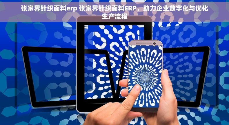 张家界针织面料erp 张家界针织面料ERP，助力企业数字化与优化生产流程