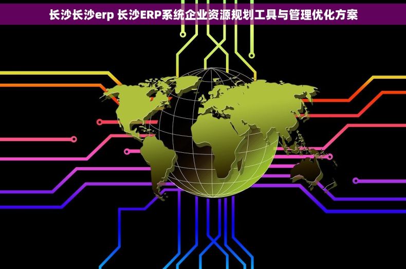 长沙长沙erp 长沙ERP系统企业资源规划工具与管理优化方案