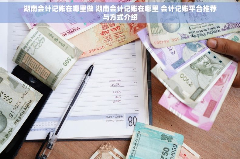 湖南会计记账在哪里做 湖南会计记账在哪里 会计记账平台推荐与方式介绍