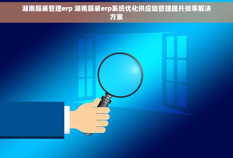 湖南服装管理erp 湖南服装erp系统优化供应链管理提升效率解决方案