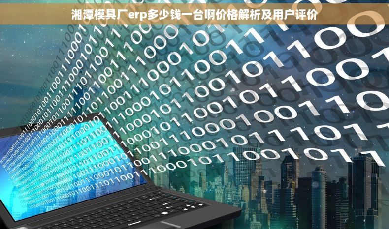 湘潭模具厂erp多少钱一台啊价格解析及用户评价