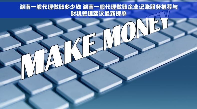 湖南一般代理做账多少钱 湖南一般代理做账企业记账服务推荐与财税管理建议最新榜单