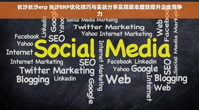 长沙长沙erp 长沙ERP优化技巧与实战分享实现降本增效提升企业竞争力