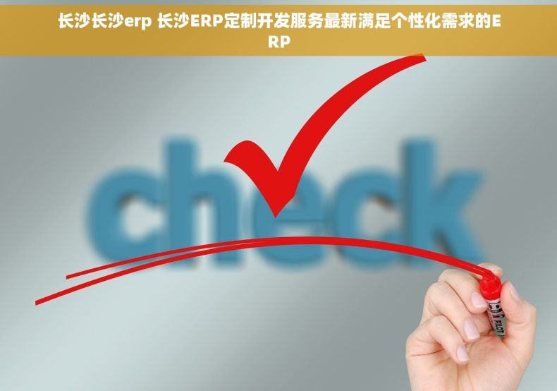 长沙长沙erp 长沙ERP定制开发服务最新满足个性化需求的ERP