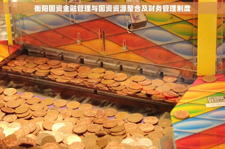 衡阳国资金融管理与国资资源整合及财务管理制度