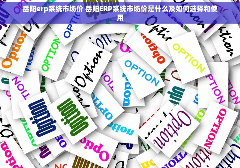 岳阳erp系统市场价 岳阳ERP系统市场价是什么及如何选择和使用