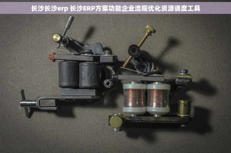 长沙长沙erp 长沙ERP方案功能企业流程优化资源调度工具