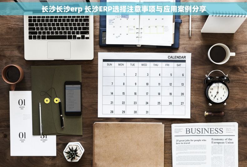 长沙长沙erp 长沙ERP选择注意事项与应用案例分享