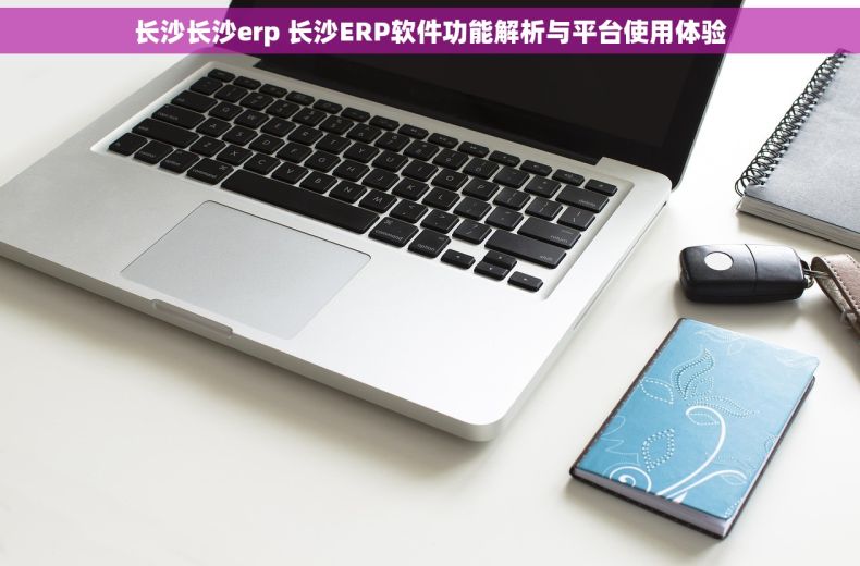 长沙长沙erp 长沙ERP软件功能解析与平台使用体验