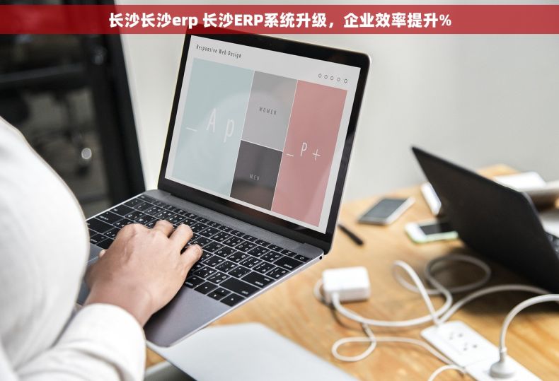 长沙长沙erp 长沙ERP系统升级，企业效率提升%