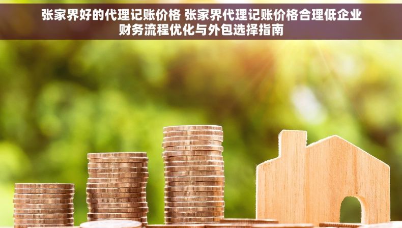 张家界好的代理记账价格 张家界代理记账价格合理低企业财务流程优化与外包选择指南