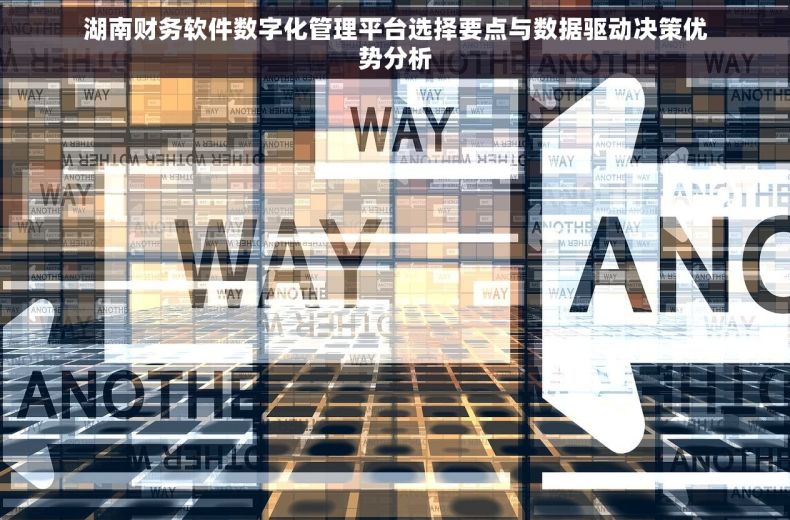 湖南财务软件数字化管理平台选择要点与数据驱动决策优势分析