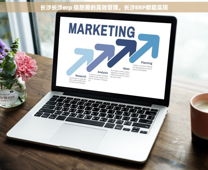 长沙长沙erp 你想要的高效管理，长沙ERP都能实现