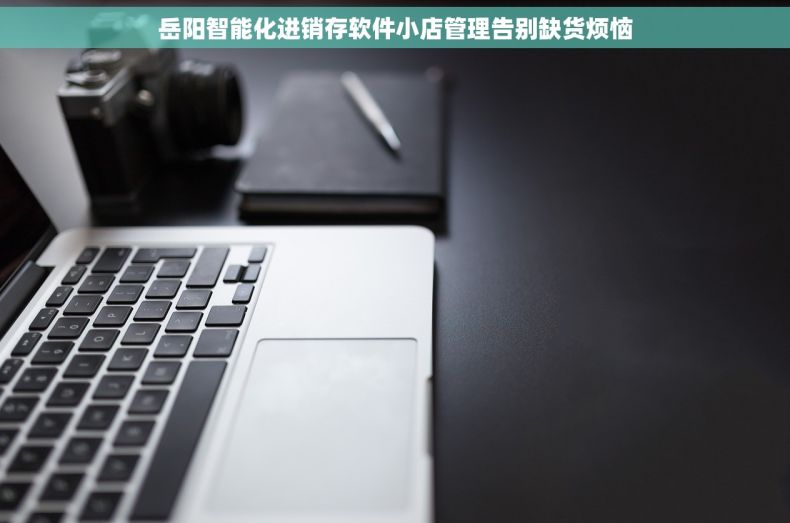 岳阳智能化进销存软件小店管理告别缺货烦恼