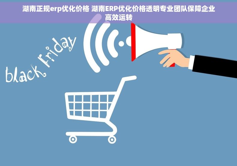 湖南正规erp优化价格 湖南ERP优化价格透明专业团队保障企业高效运转