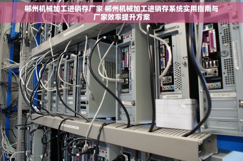 郴州机械加工进销存厂家 郴州机械加工进销存系统实用指南与厂家效率提升方案