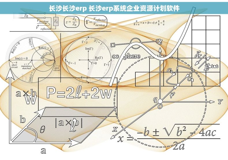 长沙长沙erp 长沙erp系统企业资源计划软件