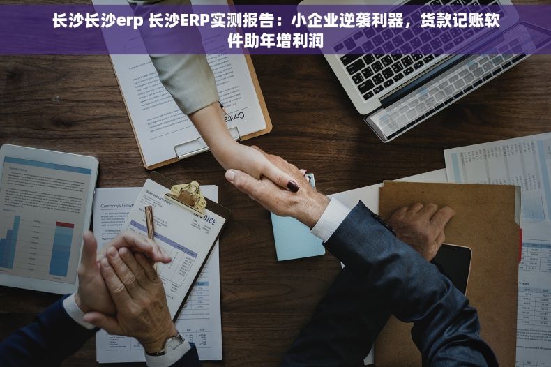 长沙长沙erp 长沙ERP实测报告：小企业逆袭利器，货款记账软件助年增利润