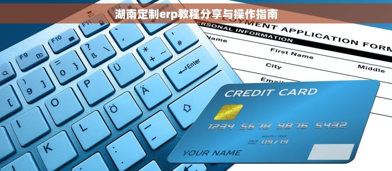 湖南定制erp教程分享与操作指南