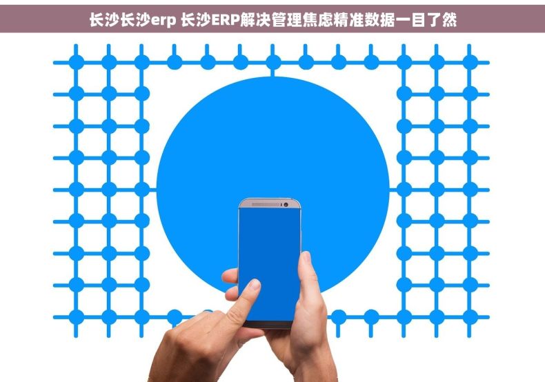 长沙长沙erp 长沙ERP解决管理焦虑精准数据一目了然